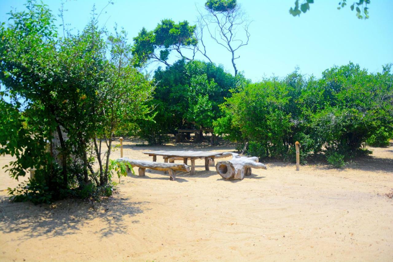 Jungle Surf Camp Bed & Breakfast Panama Exterior foto