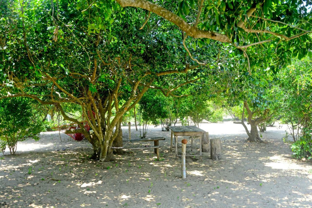 Jungle Surf Camp Bed & Breakfast Panama Exterior foto